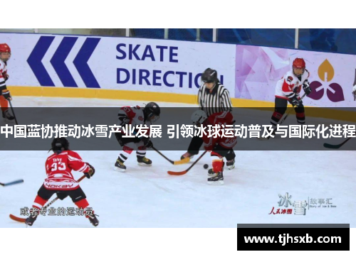 中国蓝协推动冰雪产业发展 引领冰球运动普及与国际化进程