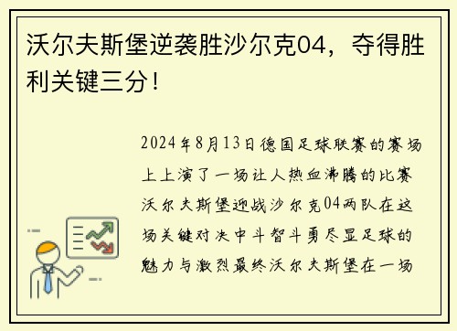 沃尔夫斯堡逆袭胜沙尔克04，夺得胜利关键三分！